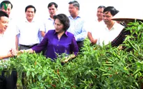 Chủ tịch Quốc hội làm việc tại Lạng Sơn