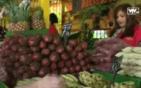 Mỹ tiếp tục nới lỏng cấm vận về thương mại và du lịch với Cuba