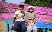 Cụ ông trồng hoa tím quanh nhà để người vợ mù thoát bệnh trầm cảm