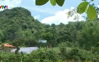 Quản lý, bảo vệ rừng tận gốc dựa vào cộng đồng