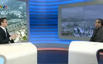 Cách chăm sóc mạ, lúa đã cấy trong thời tiết rét đậm, rét hại