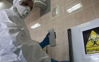 Nga: Ít nhất 50 người thiệt mạng do cúm lợn trong 1 tháng