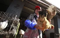 Thêm 1 người chết do nhiễm cúm gia cầm tại Trung Quốc