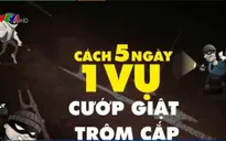 TP.HCM: 5 ngày xảy ra 1 vụ cướp giật hoặc trộm cắp