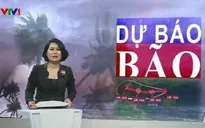 Thiệt hại nặng nề do bão: Công tác dự báo không sát thực tế?