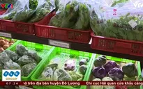 Quản lý thực phẩm hữu cơ – Cơ chế còn lỏng lẻo