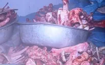 Bắt 1,4 tấn da, xương trâu bò mất vệ sinh thực phẩm
