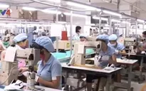 Xuất khẩu da giày sang EU có dấu hiệu chững lại