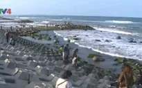 Đẹp mê hồn bãi đá rêu xanh làng biển Phú Yên