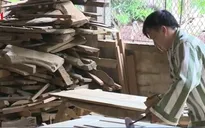 Gần 4.200 phạm nhân được đặc xá