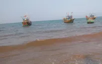 Sự kiện trong nước nổi bật tuần qua: Tập trung khắc phục hậu quả hải sản chết bất thường