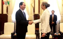 Chủ tịch nước tiếp Đại sứ Hà Lan