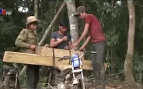 Kỷ luật Giám đốc Công ty lâm nghiệp Đăk Glei vì để xảy ra phá rừng