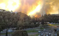 Cháy rừng dữ dội, khoảng 250.000 người dân Israel phải sơ tán