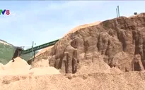 Xuất khẩu dăm gỗ giảm mạnh, doanh nghiệp gặp khó