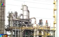Có nên giải cứu "con tàu đắm" Đạm Ninh Bình?