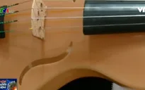 Đàn violin làm từ… tơ nhện
