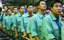 Lao động Hà Tĩnh không được đi Hàn Quốc?