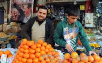Nga - Mỹ hoan nghênh lệnh ngừng bắn tại Syria