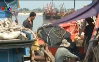 Nhiều tàu thuyền đánh bắt xa bờ vươn khơi trở lại