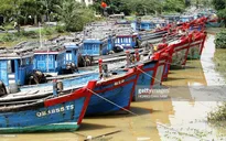 4 phương án ra khơi cho ngư dân miền Trung sau sự cố Formosa