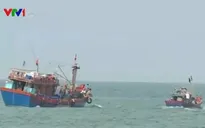 Ngư dân Quảng Bình đồng loạt vươn khơi bám biển