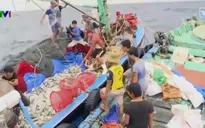 Tuyên truyền pháp luật biển cho ngư dân
