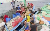 1.500 tỷ đồng vốn tín dụng ưu đãi cho ngư dân