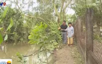 Bạc Liêu: Không khởi tố tranh chấp đất công là đúng