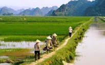 Tiếp tục miễn giảm thuế sử dụng đất nông nghiệp