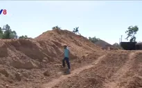 Đơn vị thi công dùng đất kém chất lượng làm nền cao tốc Đà Nẵng - Quãng Ngãi