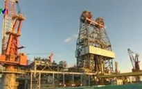 Giá dầu châu Á tăng bất chấp dự trữ dầu của Mỹ cao kỷ lục