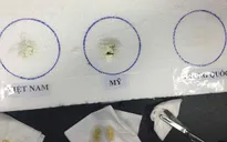 Dầu cá Omega-3 ăn mòn hộp xốp không ảnh hưởng đến sức khỏe con người