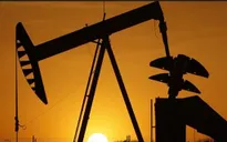 OPEC đàm phán với Iran về sản lượng dầu