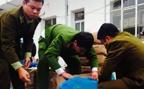 Đề nghị xử phạt nghiêm các trường hợp vi phạm vệ sinh thực phẩm