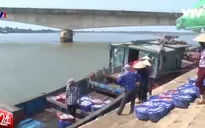 Quảng Trị nỗ lực hỗ trợ đầu ra cho ngư dân