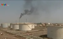 Giá dầu rớt mạnh khi đàm phán Doha thất bại