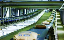 Năm 2016 không thêm mới dây chuyền sản xuất xi măng