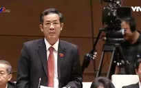 ĐBQH đề nghị Chính phủ có giải pháp quyết liệt, nghiêm minh sau hệ lụy của Formosa