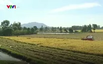 Xác định cơ chế liên kết vùng kinh tế trọng điểm ĐBSCL