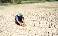 Cà Mau được hỗ trợ 80 tỷ đồng phòng chống thiên tai