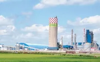 Thua lỗ ngàn tỉ, Đạm Ninh Bình kêu cứu Thủ tướng