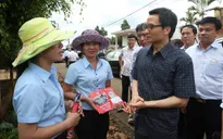 PTTg Vũ Đức Đam: Không để sốt xuất huyết bùng phát mạnh