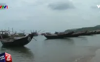 Đề tài xã hội nở rộ tại Liên hoan phim ngắn SCTV