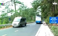 Lưu thông hai chiều trở lại trên tuyến đèo Prenn, Đà Lạt