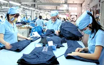 86% công nhân dệt may Việt Nam có nguy cơ mất việc vì tự động hóa