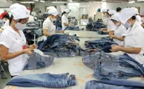 Việt Nam xuất siêu sang Ấn Độ khoảng 60 triệu USD trong 8 tháng