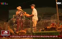 Kinh hoàng "công nghệ tăng trọng" cho gia súc, gia cầm