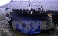 Nền nhiệt miền Bắc tăng nhưng trời vẫn rét trong đêm 2/3