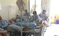 Gia Lai họp khẩn bàn giải pháp phòng chống sốt xuất huyết
